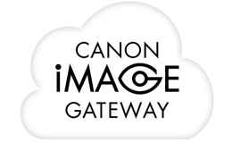 Store and Share Online