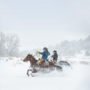 Cowboys on horse