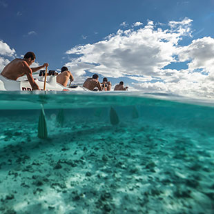 Rowers in water