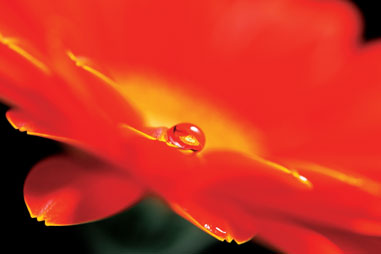 100f28sample