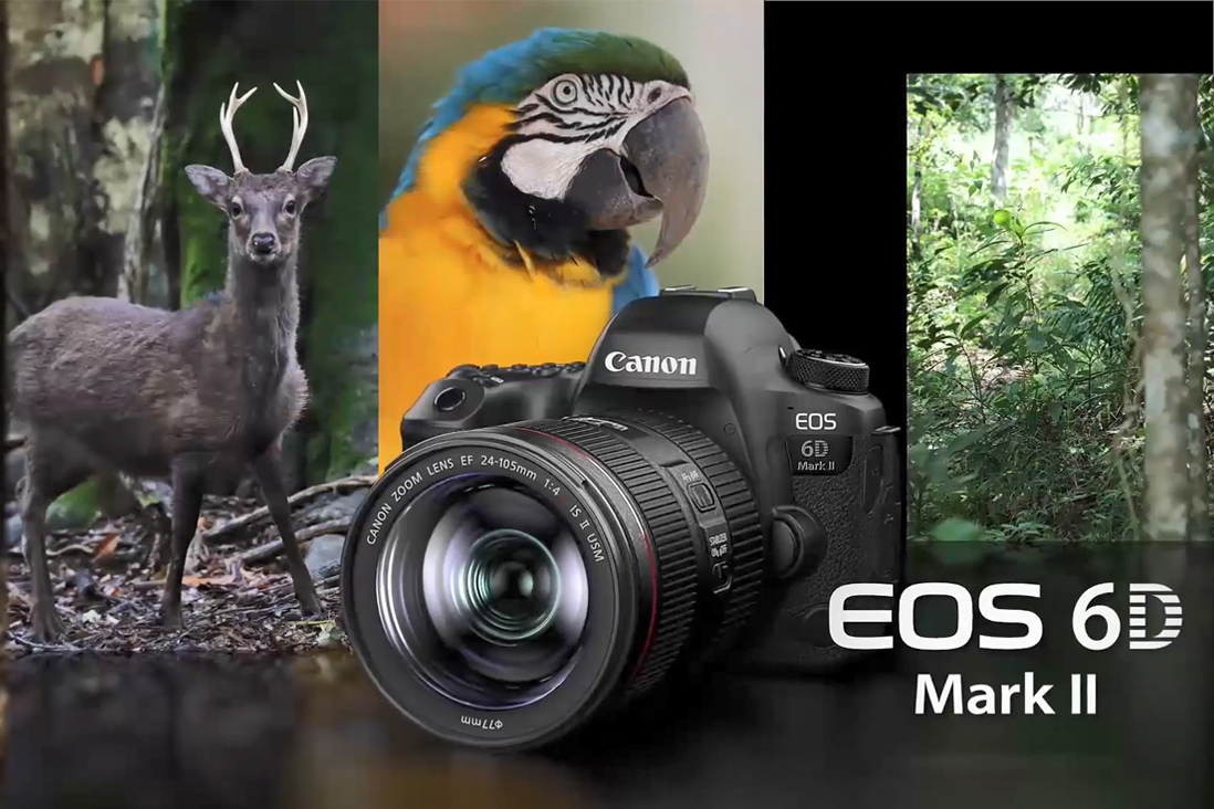 canon usa 6d mark ii