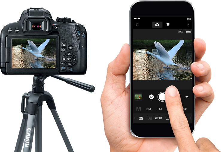 EOS Rebel T7i Simple Operation Consumer Home Office Canon