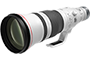 RF 600mm f/4L IS USM